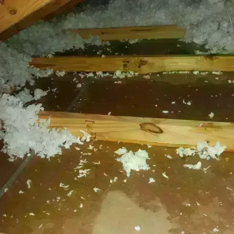 Attic Water Damage in Whitehall, WI